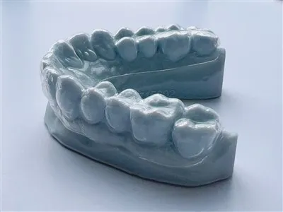 3D -udskrivning af høj kvalitet blegningsbakke